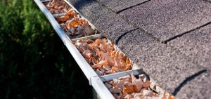 Niagara Gutter Cleaning